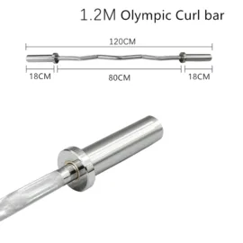 Olympic curl bar with dimensions: 1.2 meters, 18cm ends, 80cm center.