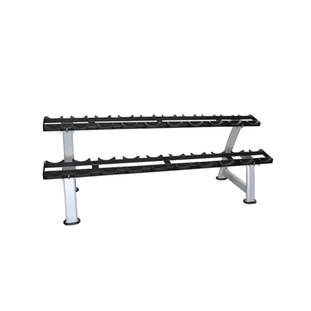 Two-tier dumbbell rack with black shelves and silver frame.