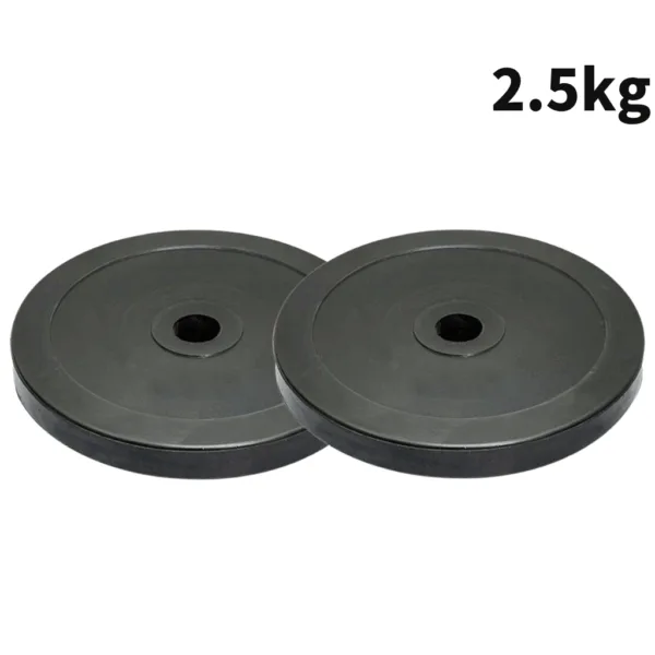 2.5kg Pair Rubber Weight for a balanced and effective strength training session.