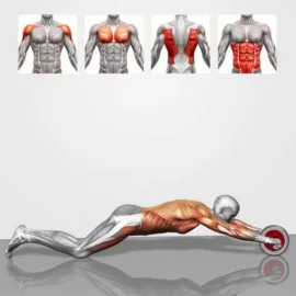 Health benefits in your body with Automatic Rebound AB Roller