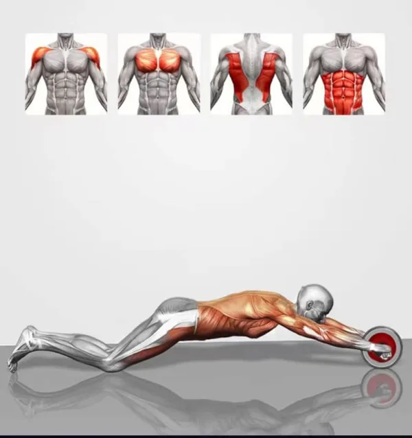 Health benefits in your body with Automatic Rebound AB Roller