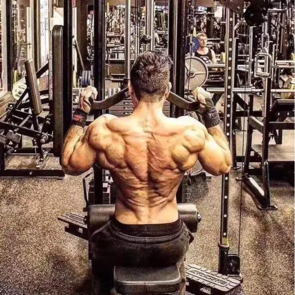 Lat Pull Down Handles