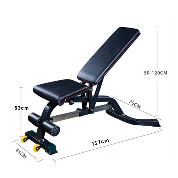 Size of C weight bench