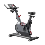 Magnetic exercise bike