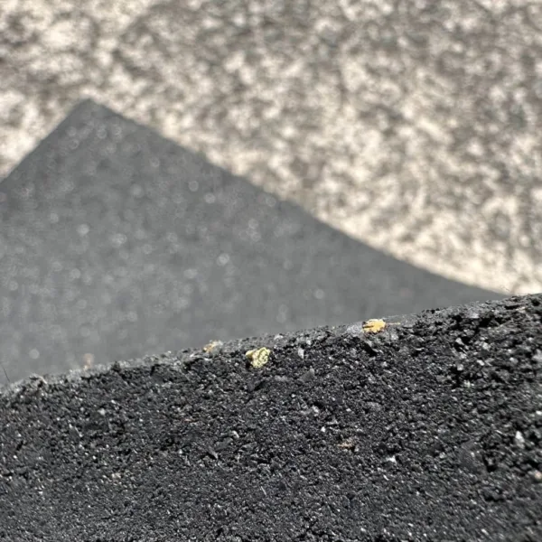 RUBBER GYM MATS DETAIl