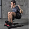 Function display of the SISSY Squat Machine.