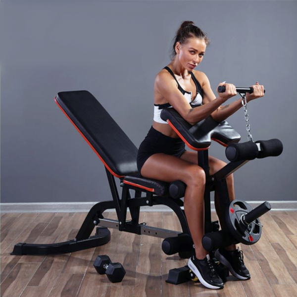 A woman on Weight Bench with Preacher Curl and Leg Extension 650x650 resolution