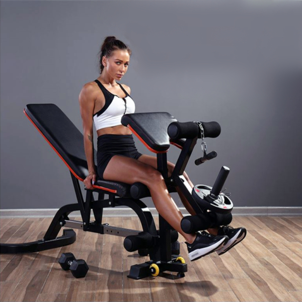 A woman on Weight Bench with Preacher Curl and Leg Extension