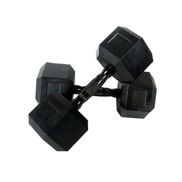 A pair of 12.5kg weighing dumbbell set