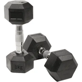 Stylish 1KG silver dumbbell for weight training.