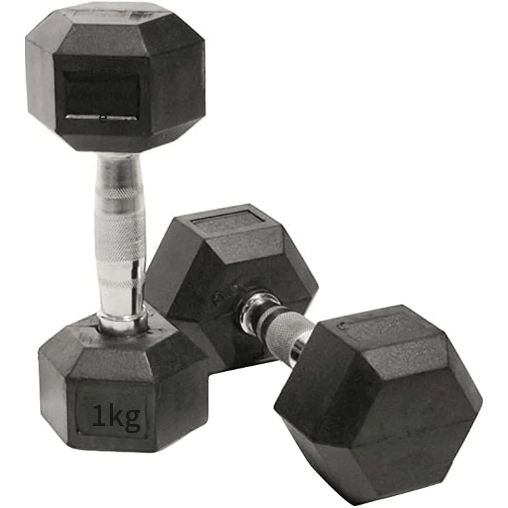 Stylish 1KG silver dumbbell for weight training.