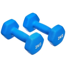 Pair of 2kg Blue Dumbbells