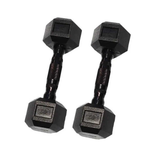 A pair of 2kg black dumbbell set