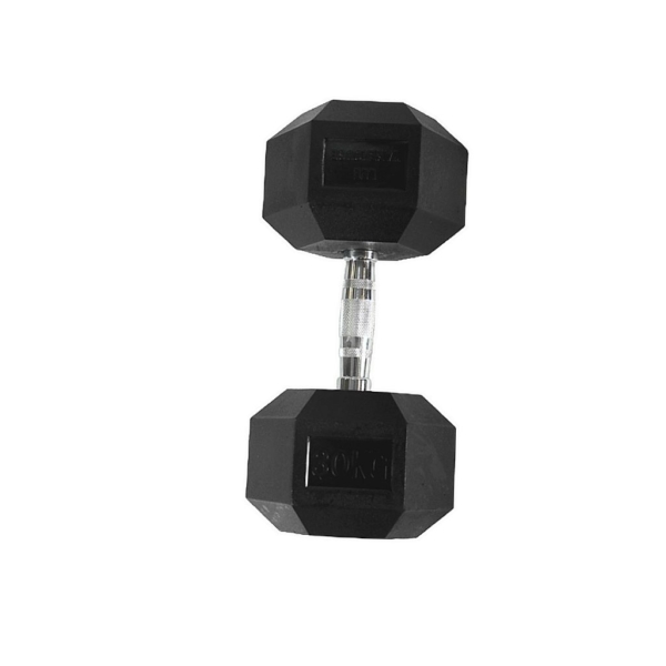 30Kg Dumbbell with silver handle