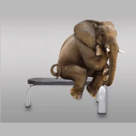 Weight Bench | Premium Flat Bench | Commercial Grade - Image 5