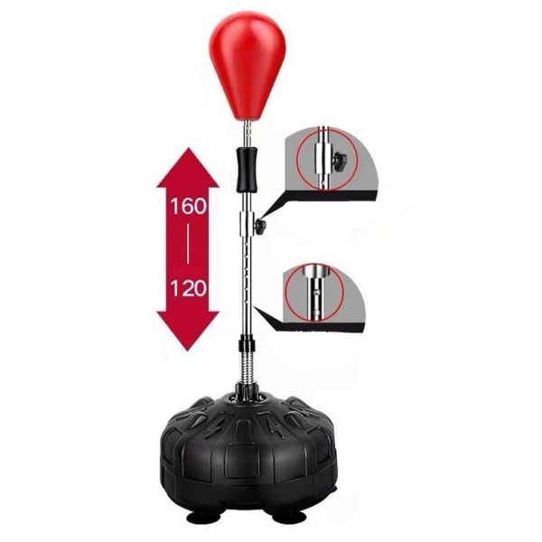 Freestanding speed ball height 600x600 resolution