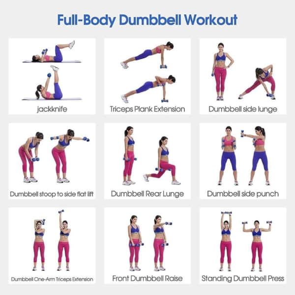 Full Body Dumbbell Workout Illustration