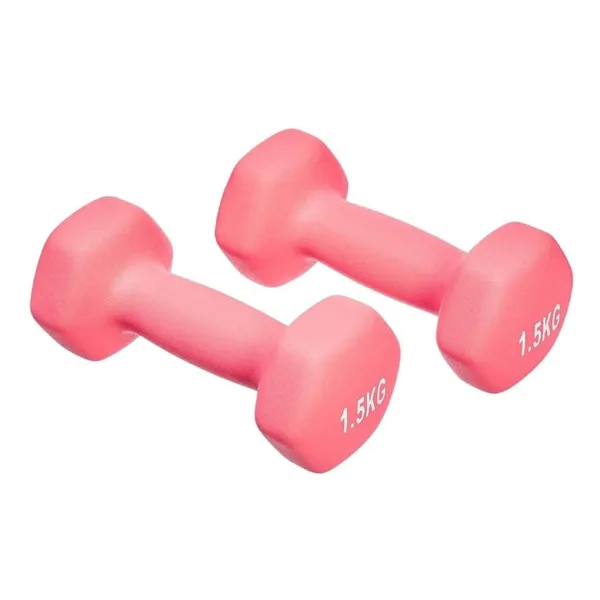 Pair of Pink Dumbbells