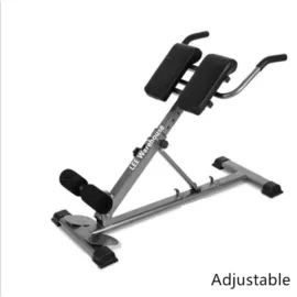 Adjustable Roman Chair Back Extension Bench on white background