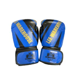 Boxing Gloves | Kids Boxing Training Gloves - Image 21