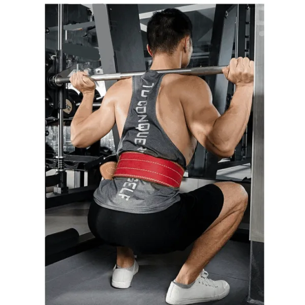 Lifestyle Fitness Belt