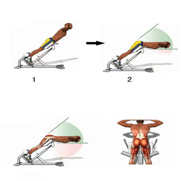 Adjustable Roman Chair Back Extension Bench - Exercising illustration