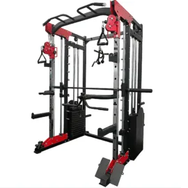 Smith Machine Weights Set | Model006 - Image 4