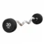 Fixed Weight Curl Barbell