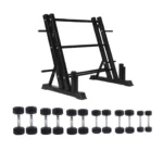 Rack with dumbbells combo