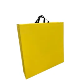 with the handle exercise mat