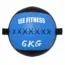 Wall Ball 6KG