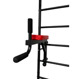Wall-Mounted Swedish Ladder Gym Station Details