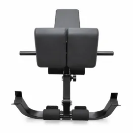 Multi-Function Roman Chair