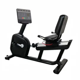 Recumbent Bike
