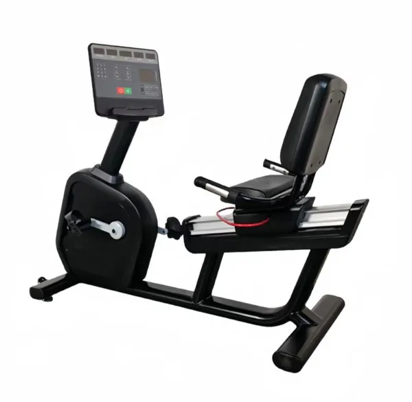 Recumbent Bike