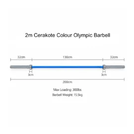 300lb-Barbell2