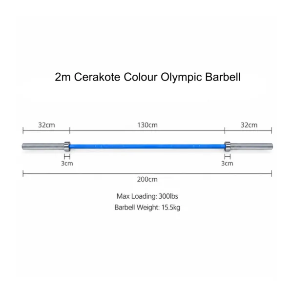 300lb-Barbell2