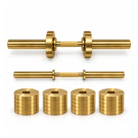 Gold Olympic Loadable Dumbbell Handles_long1